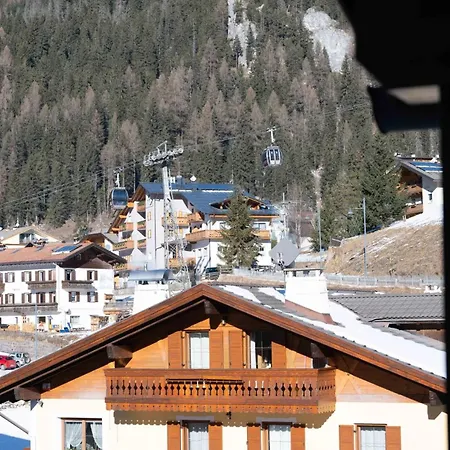 Cesa Malvi